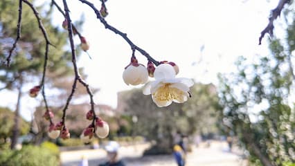 日名公園