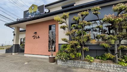 すぎの木