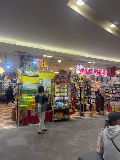 ヴィレッジヴァンガード イオンモール岡崎店