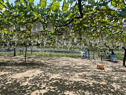 遊覧農場 ヤマナカ果園