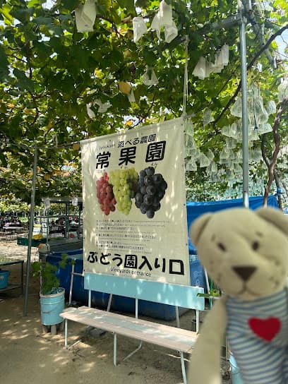 常果園