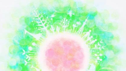 ヒーリングサロン 白いカラス