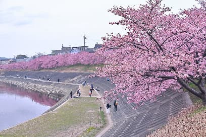 岡崎市竜美丘会館